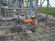 Banatski dvor slika31